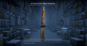 ★ Ursus Knife | Case Hardened (Battle-Scarred) Screenshot