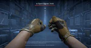 ★ Sport Gloves | Arid (Field-Tested) Screenshot