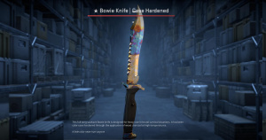 ★ Bowie Knife | Case Hardened (Field-Tested) Screenshot