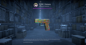 P250 | Visions (Well-Worn) Screenshot