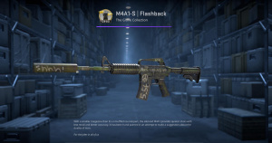 M4A1-S | Flashback (Factory New) Screenshot