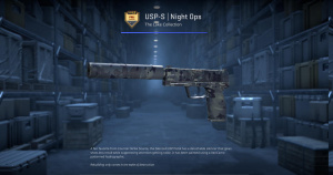 USP-S | Night Ops (Factory New) Screenshot