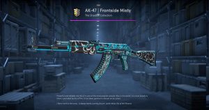 AK-47 | Frontside Misty (Field-Tested) Screenshot