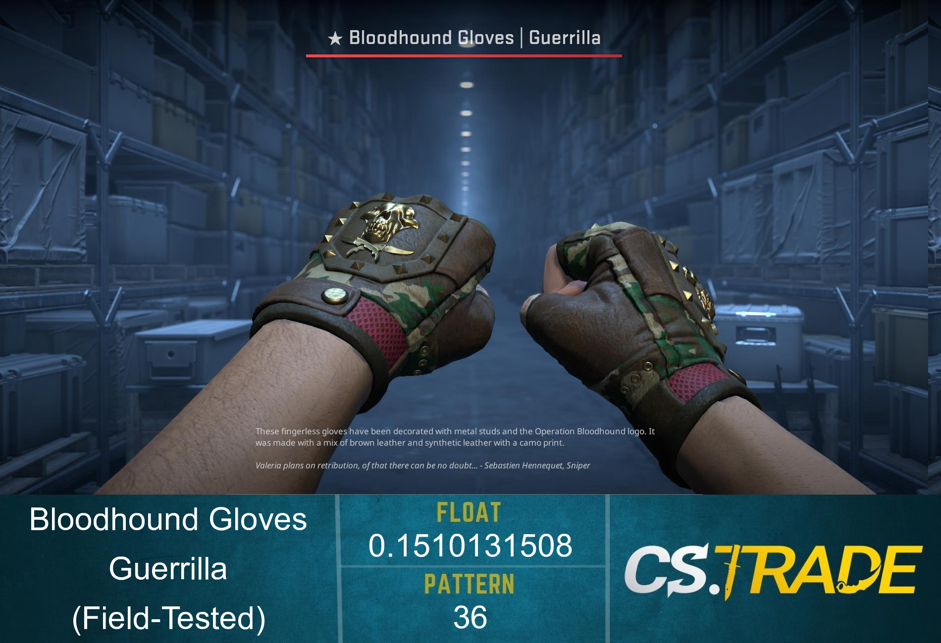 ★ Bloodhound Gloves | Guerrilla (Factory New) Screenshot