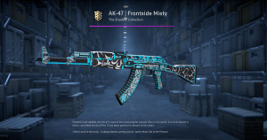 AK-47 | Frontside Misty (Minimal Wear) Screenshot
