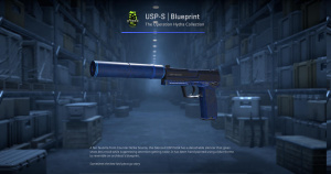USP-S | Blueprint (Well-Worn) Screenshot