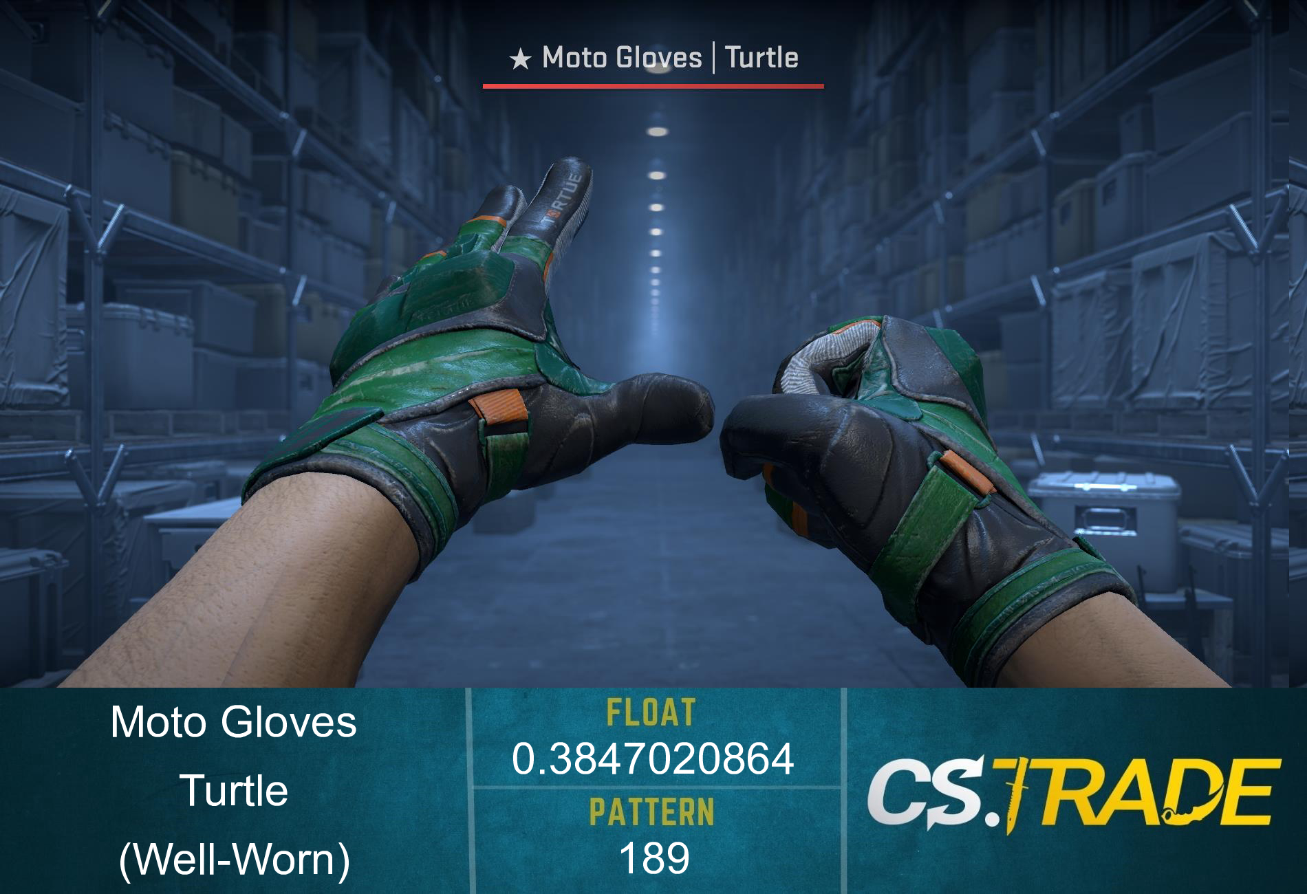 ★ Moto Gloves | Turtle (Well-Worn) Screenshot