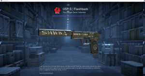 USP-S | Flashback (Factory New) Screenshot