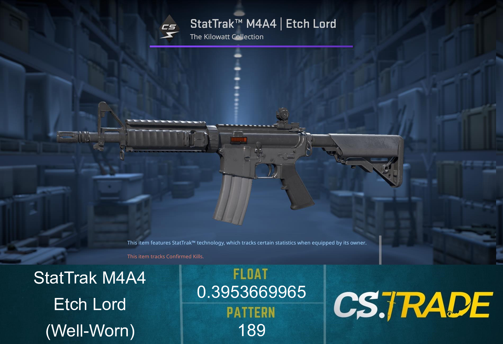 M4A4 | Etch Lord (Well-Worn) Screenshot
