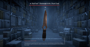 ★ StatTrak™ Skeleton Knife | Rust Coat (Battle-Scarred) Screenshot