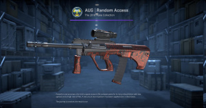 AUG | Random Access (Factory New) Screenshot