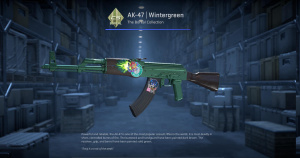 AK-47 | Wintergreen (Factory New) Screenshot