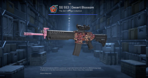 SG 553 | Desert Blossom (Factory New) Screenshot