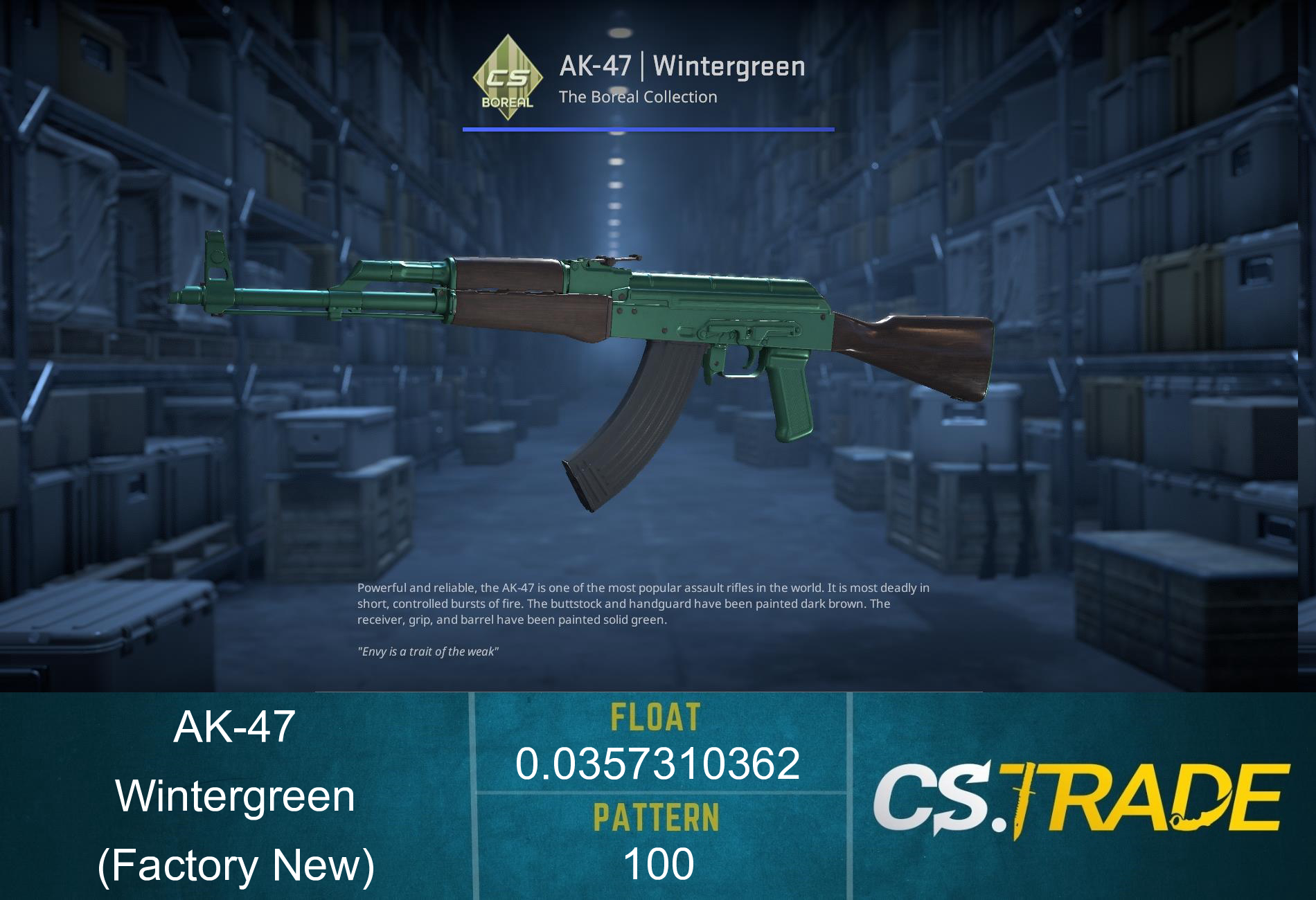 AK-47 | Wintergreen (Factory New) Screenshot