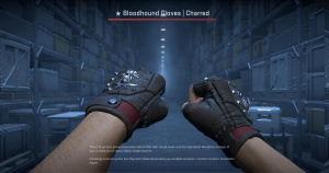 ★ Bloodhound Gloves | Charred (Battle-Scarred) Screenshot