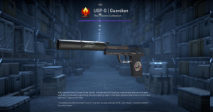 USP-S | Guardian (Factory New) Screenshot