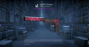 USP-S | Cortex (Battle-Scarred) Screenshot