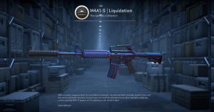 M4A1-S | Liquidation (Minimal Wear) Screenshot