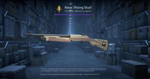 Nova | Rising Skull (Factory New) Screenshot