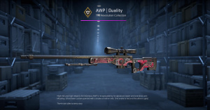 AWP | Duality (Minimal Wear) Screenshot