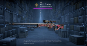 AWP | Duality (Minimal Wear) Screenshot