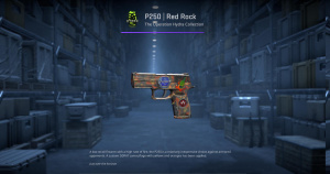 P250 | Red Rock (Field-Tested) Screenshot