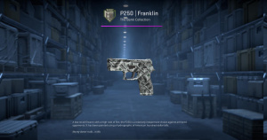 P250 | Franklin (Factory New) Screenshot