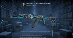 StatTrak™ AK-47 | Frontside Misty (Battle-Scarred) Screenshot