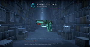 StatTrak™ P250 | X-Ray (Factory New) Screenshot