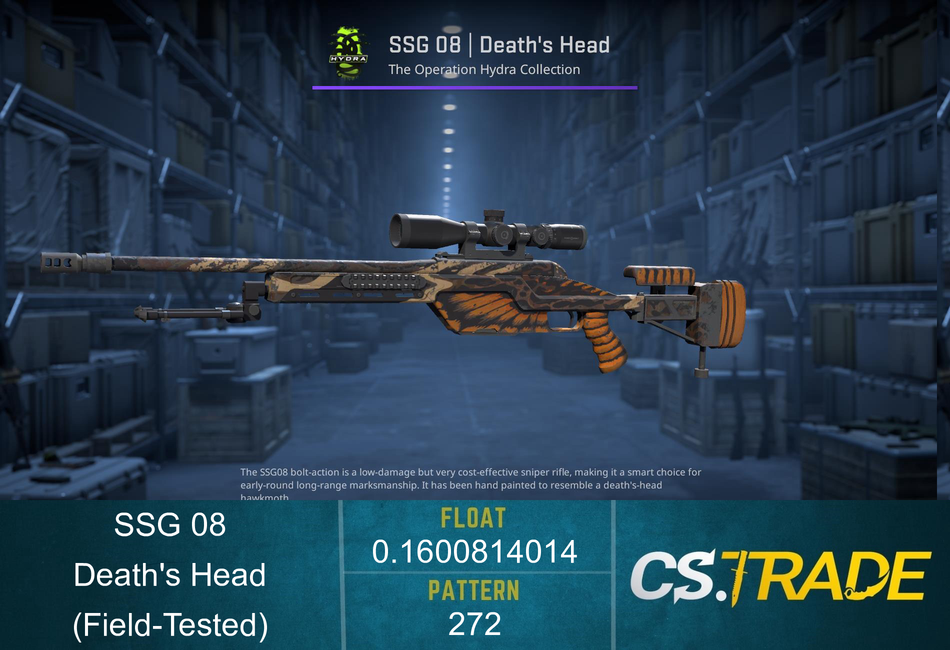 SSG 08 | Death's Head (Field-Tested) Screenshot