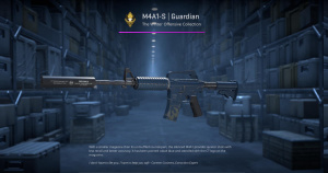 M4A1-S | Guardian (Field-Tested) Screenshot