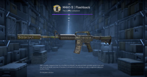 M4A1-S | Flashback (Well-Worn) Screenshot