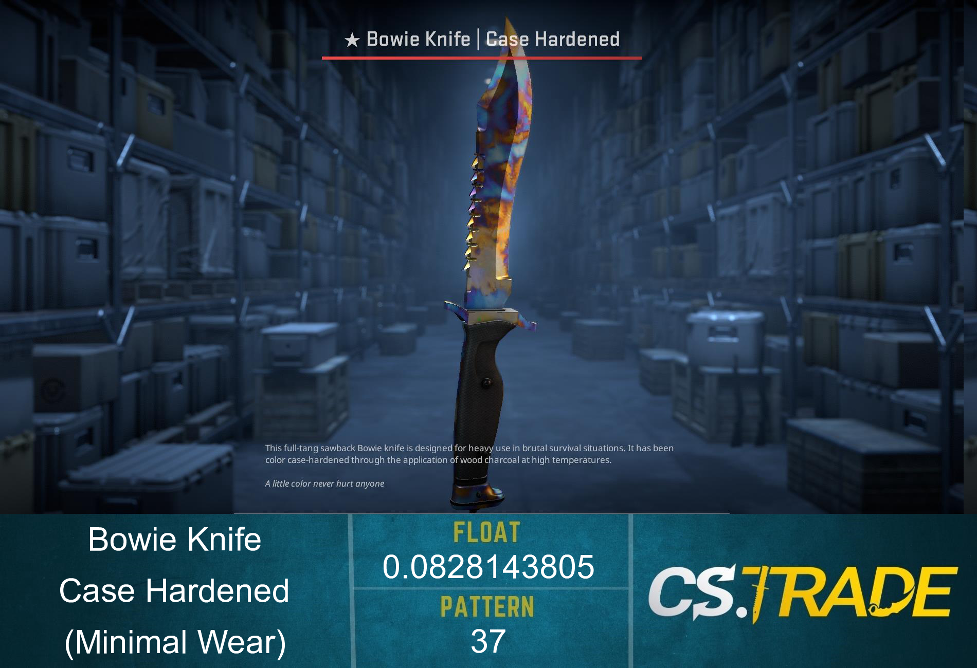 ★ Bowie Knife | Case Hardened (Factory New) Screenshot