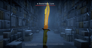 ★ Bowie Knife | Lore (Field-Tested) Screenshot