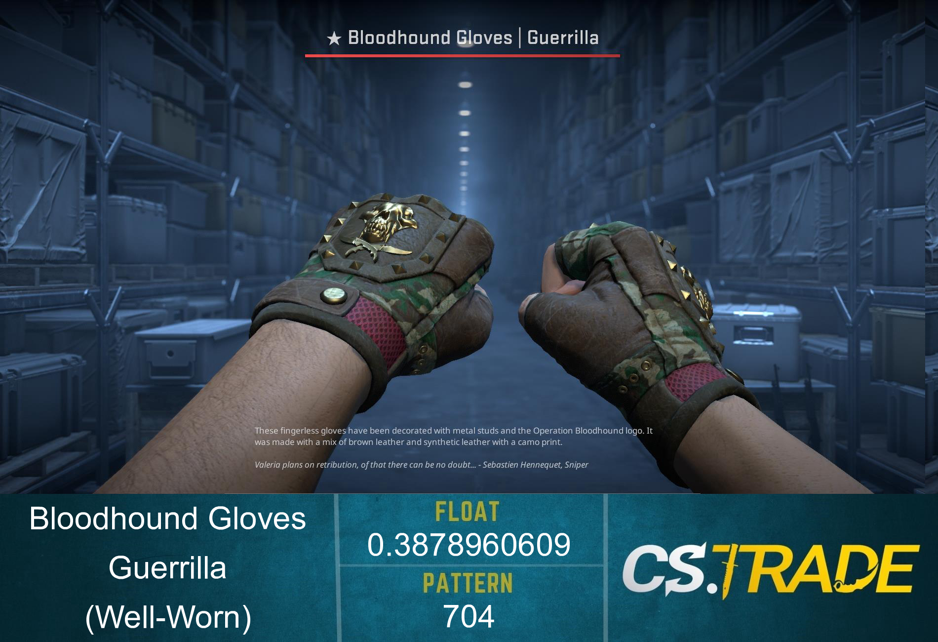 ★ Bloodhound Gloves | Guerrilla (Well-Worn)