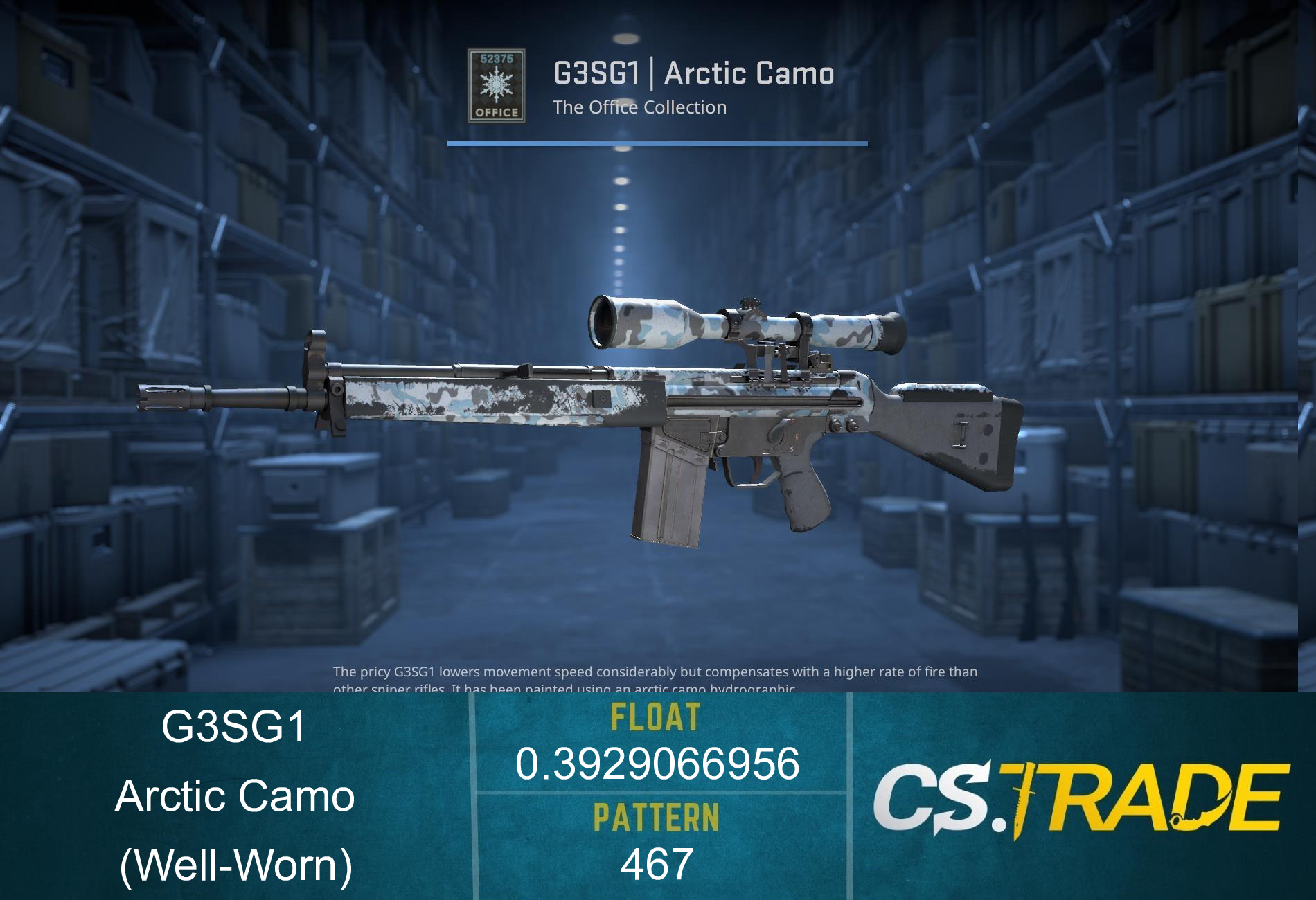 G3SG1 | Arctic Camo (Well-Worn) Screenshot