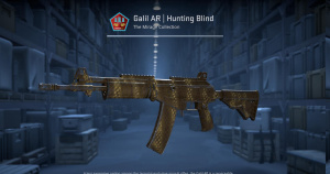 Galil AR | Hunting Blind (Field-Tested) Screenshot