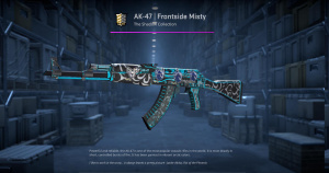 AK-47 | Frontside Misty (Battle-Scarred) Screenshot