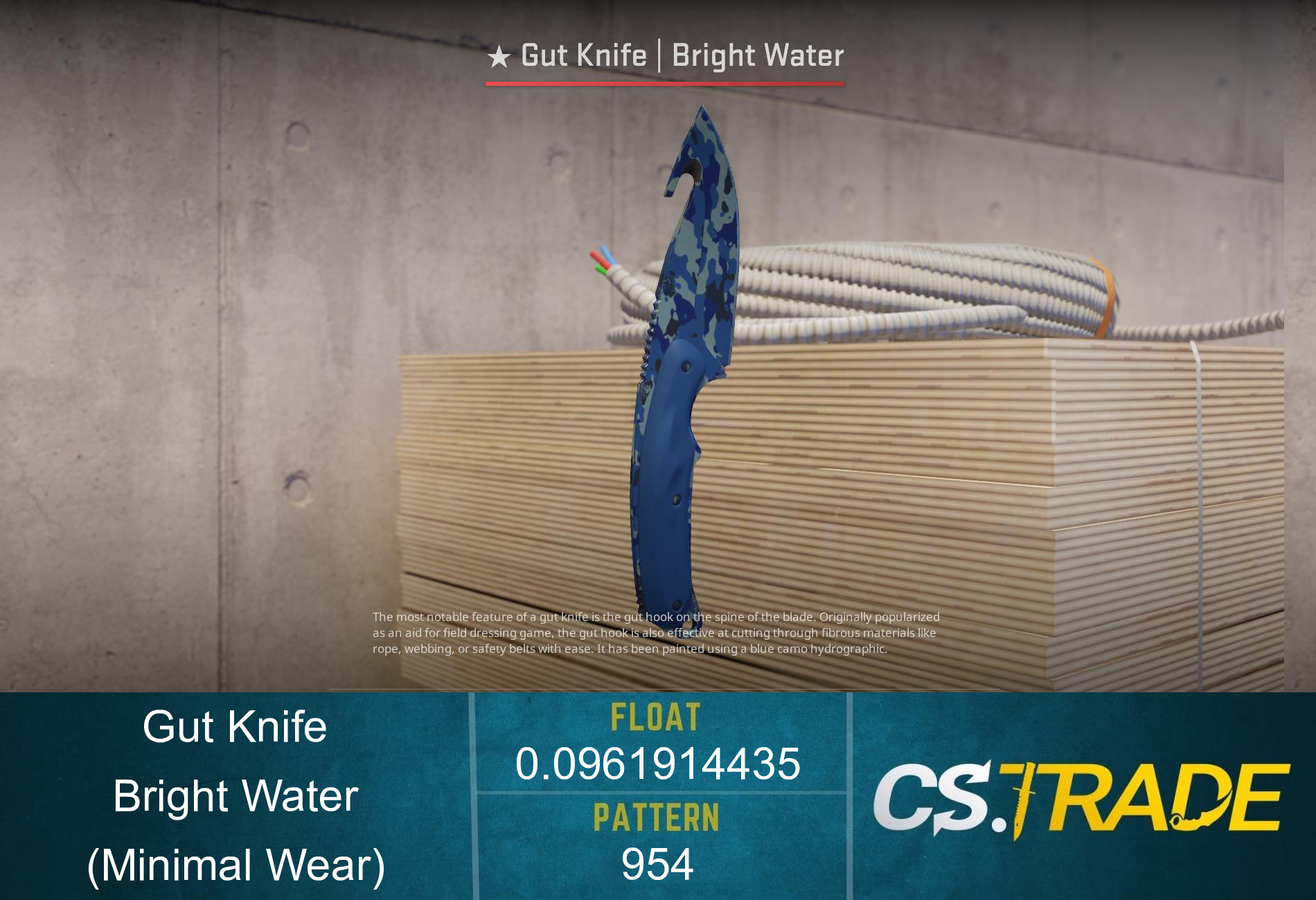★ StatTrak™ Gut Knife | Bright Water (Minimal Wear) Screenshot