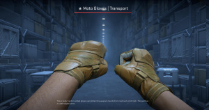 ★ Moto Gloves | Transport (Field-Tested) Screenshot