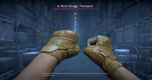 ★ Moto Gloves | Transport (Field-Tested) Screenshot