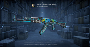 AK-47 | Frontside Misty (Field-Tested) Screenshot