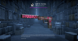 USP-S | Cortex (Battle-Scarred) Screenshot