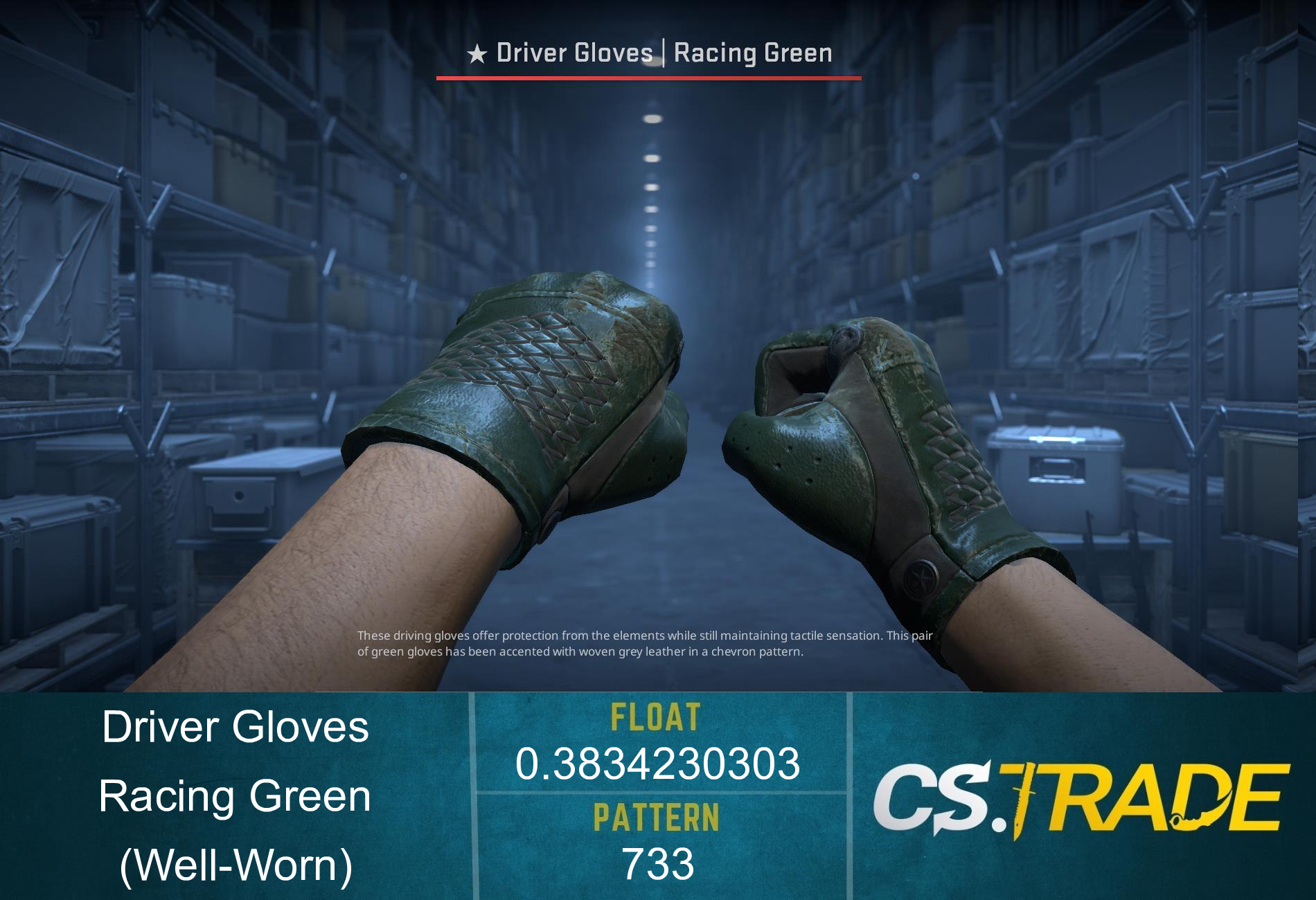 ★ Driver Gloves | Racing Green (Well-Worn) Screenshot