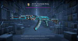 AK-47 | Frontside Misty (Field-Tested) Screenshot