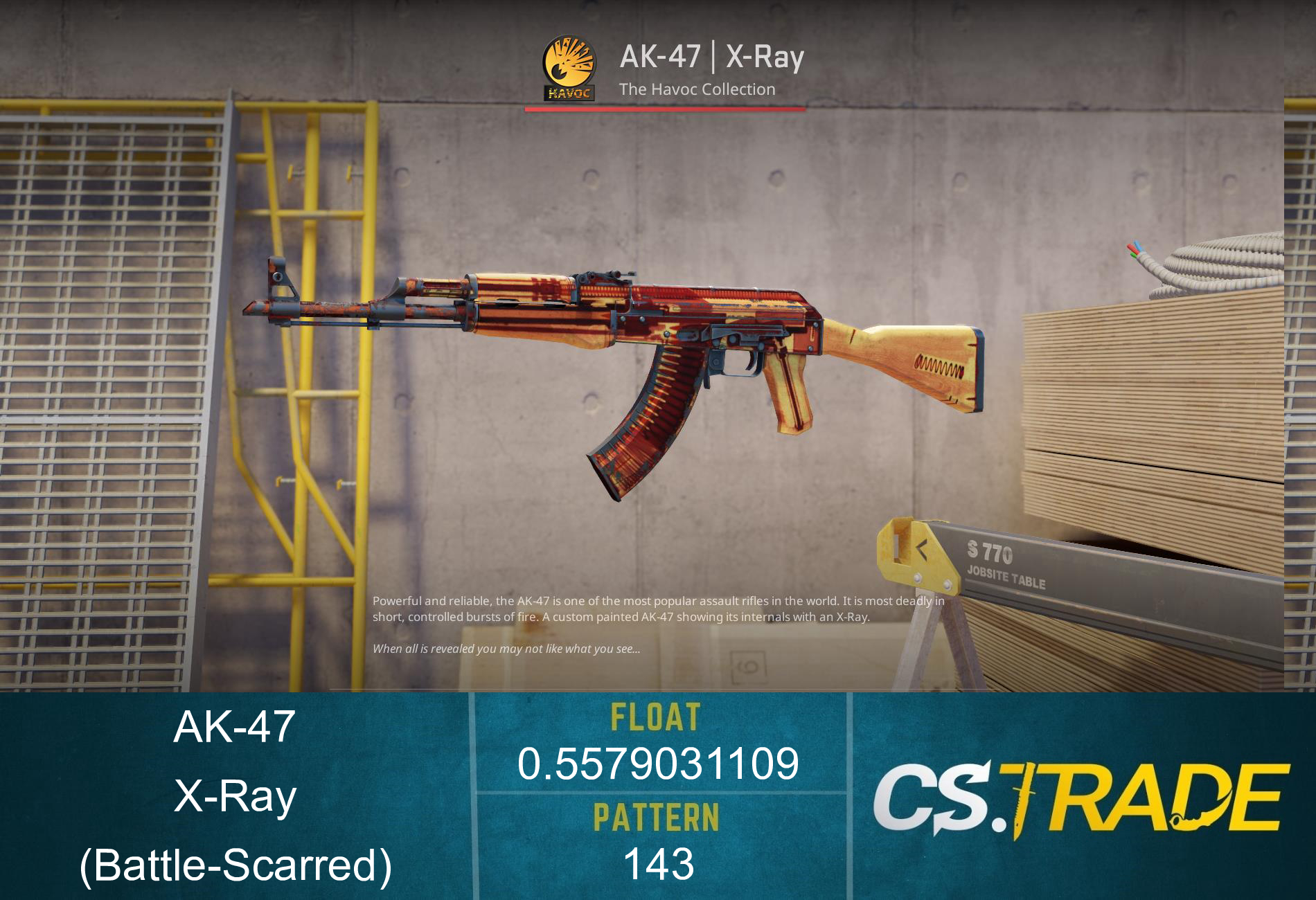 AK-47 | X-Ray (Battle-Scarred) Screenshot