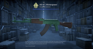 AK-47 | Wintergreen (Minimal Wear) Screenshot