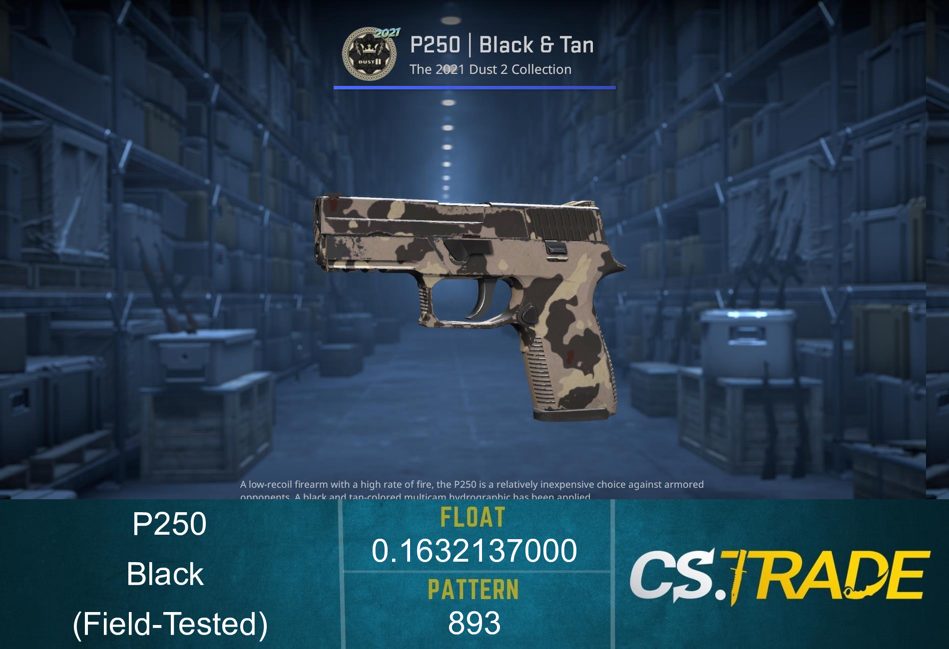 P250 | Black & Tan (Field-Tested) Screenshot