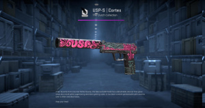 USP-S | Cortex (Field-Tested) Screenshot