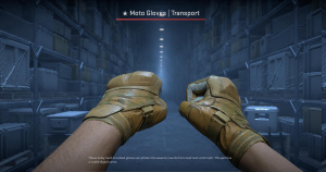 ★ Moto Gloves | Transport (Field-Tested) Screenshot
